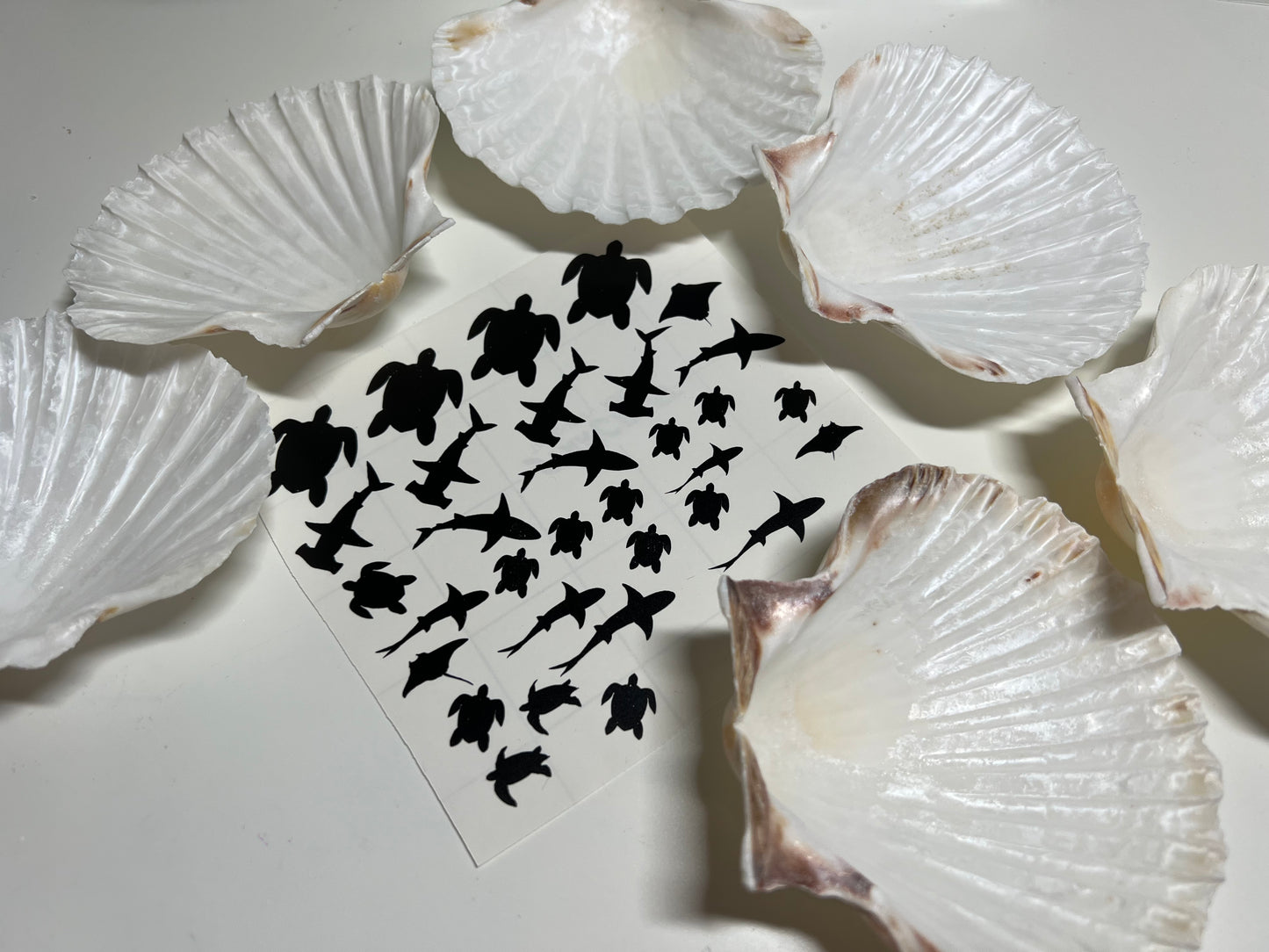 DIY ocean shells Set D
