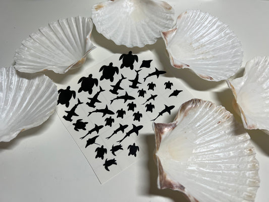 DIY ocean shells Set D