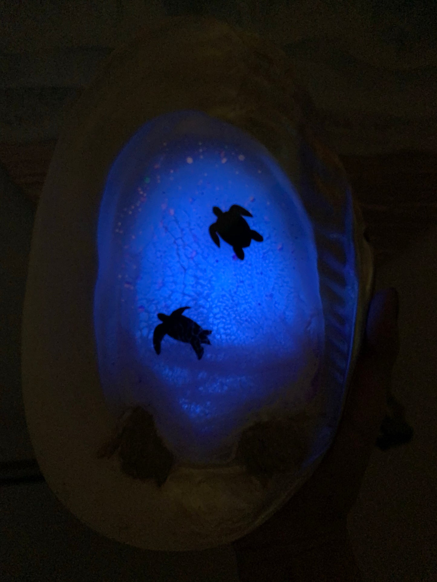 Large Glow in the Dark Sea in a Shell- turtles