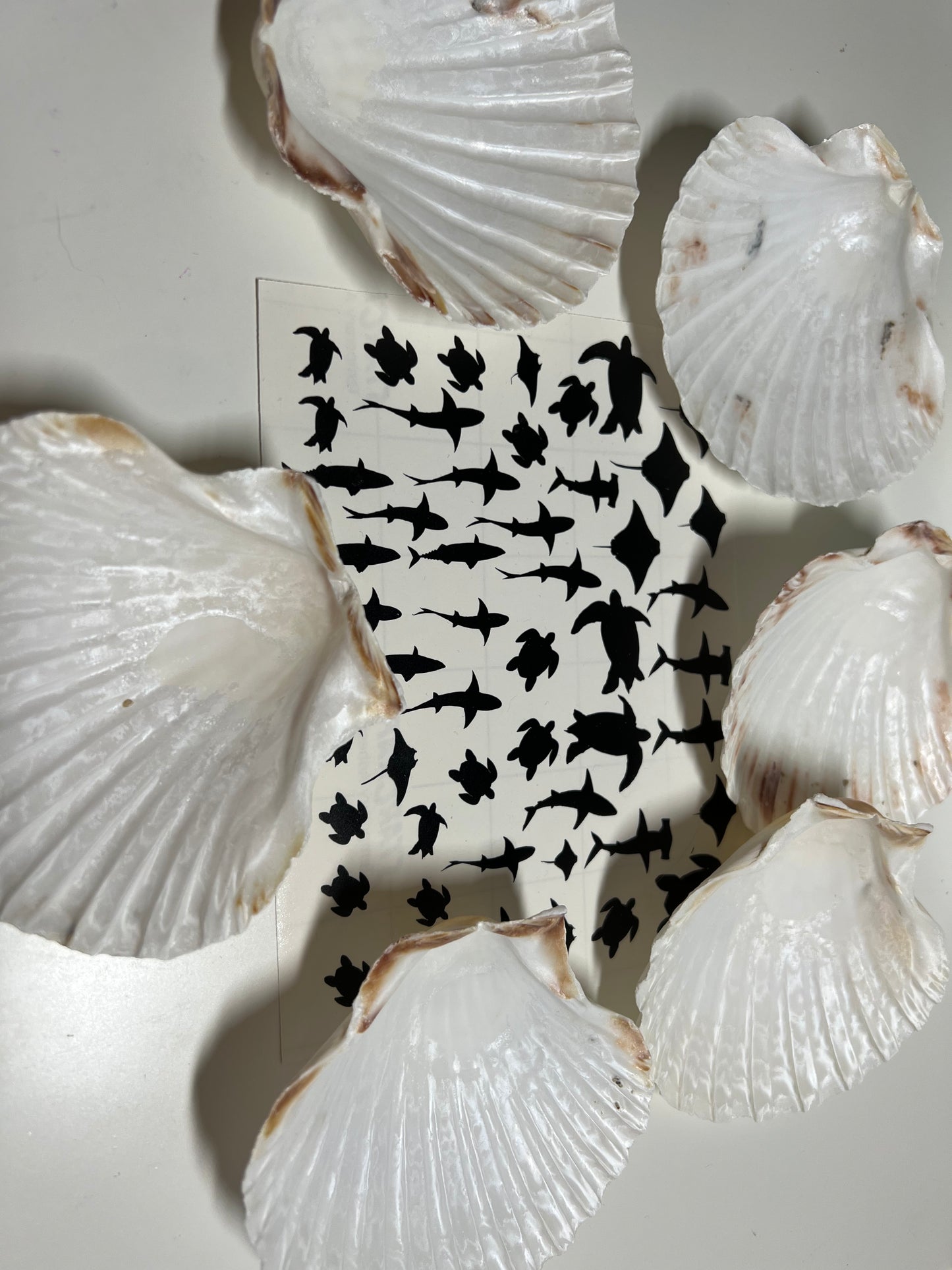 DIY ocean shells Set B