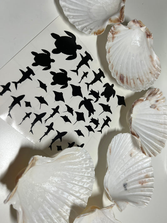 DIY ocean shells Set C