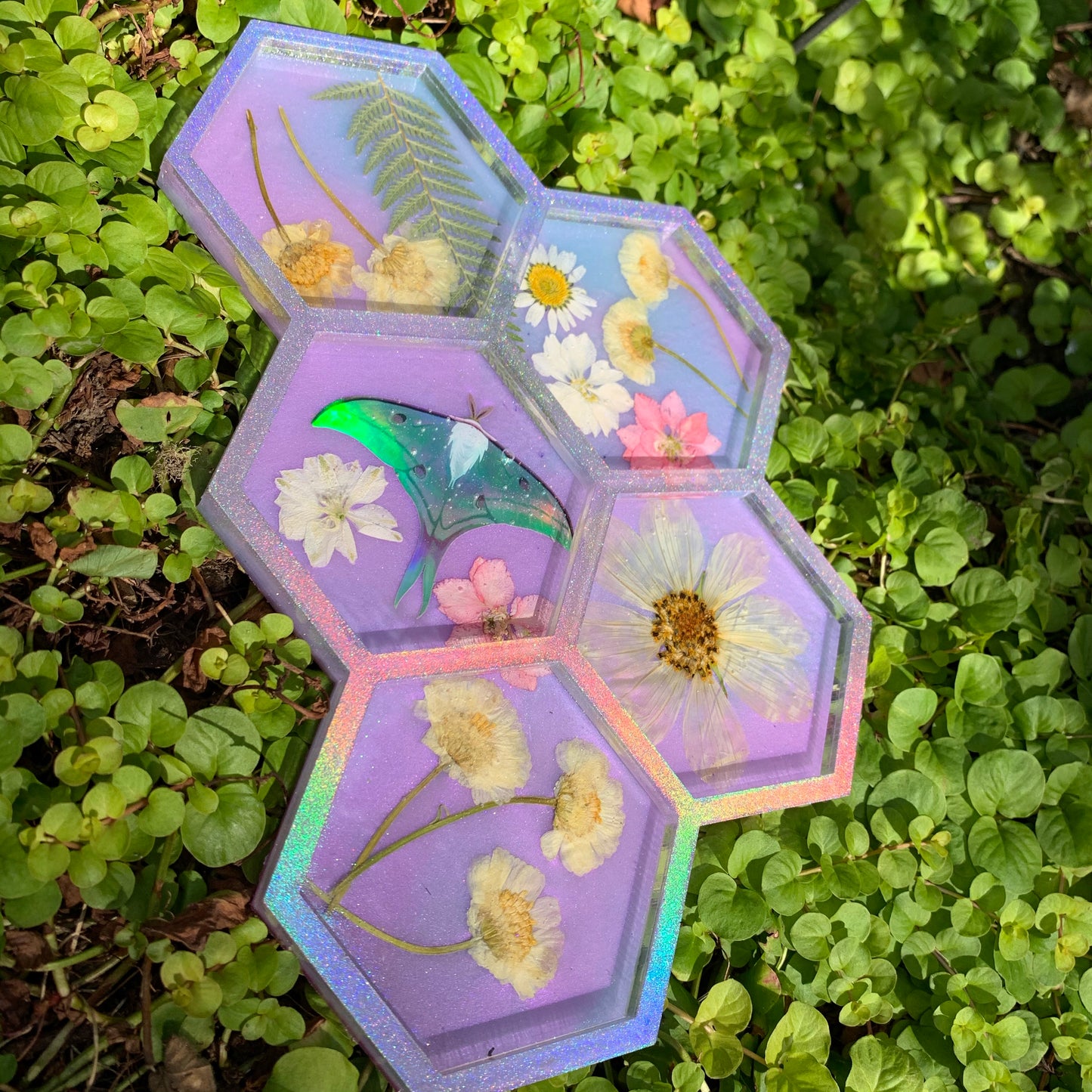 Pink & Purple(Glow in the Dark) Honeycomb Organizer Tray